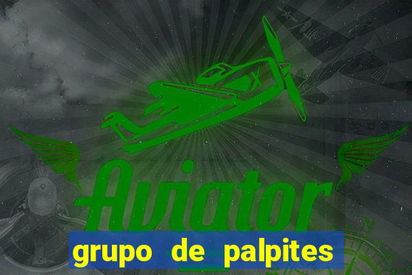grupo de palpites de futebol telegram
